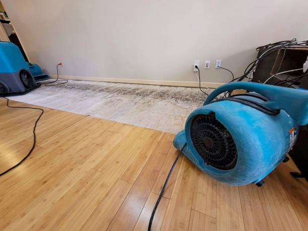 Professional Structural Drying technician working in Hadley, MI